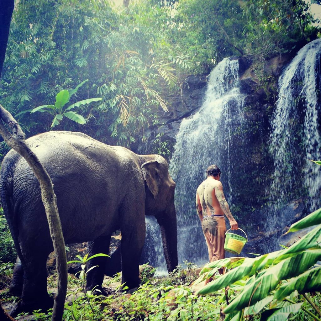 Chiangmai Elephant Land