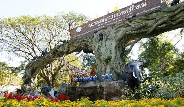 CHIANG MAI FOR FAMILIES: KID-FRIENDLY ACTIVITIES AND ATTRACTIONS